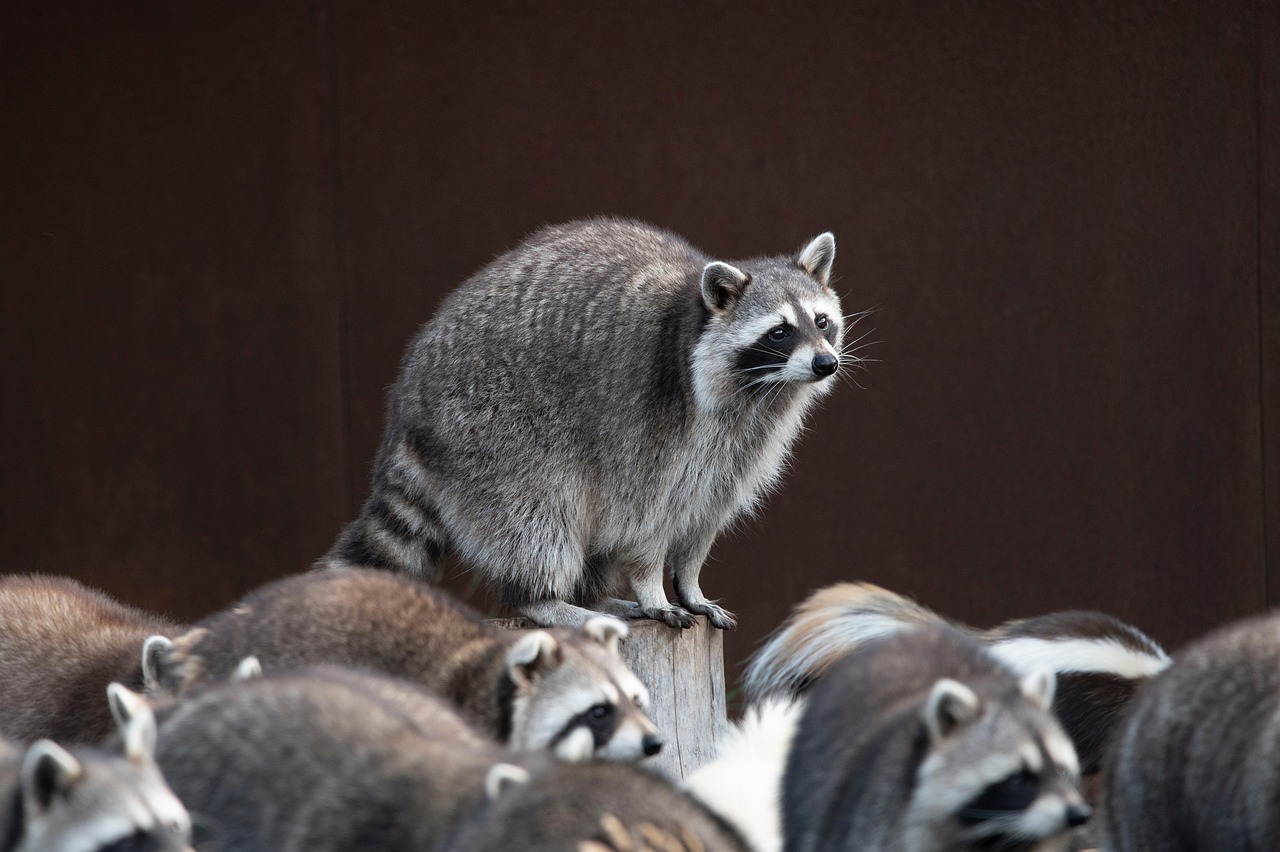 Community members sharing time together